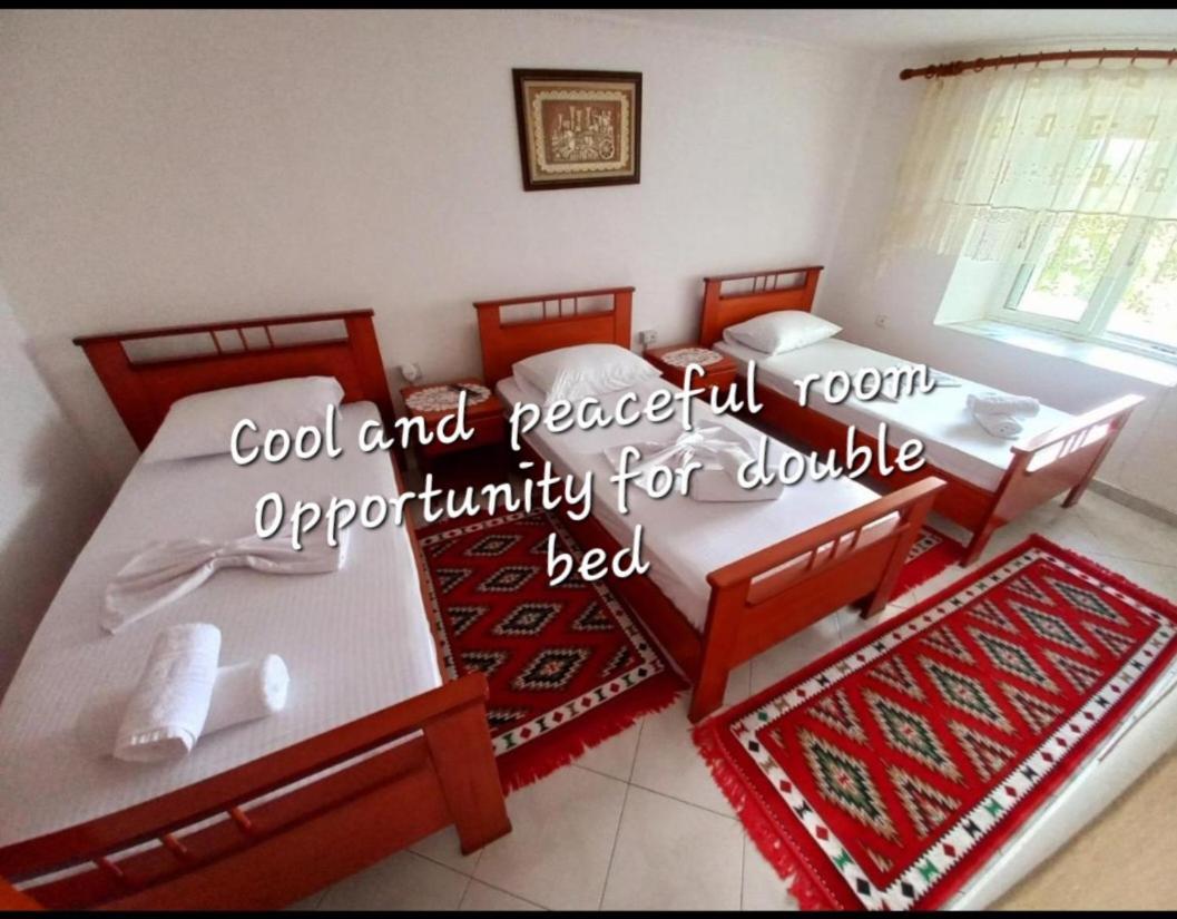 Sokolli Guest House Gjirokaster Ngoại thất bức ảnh